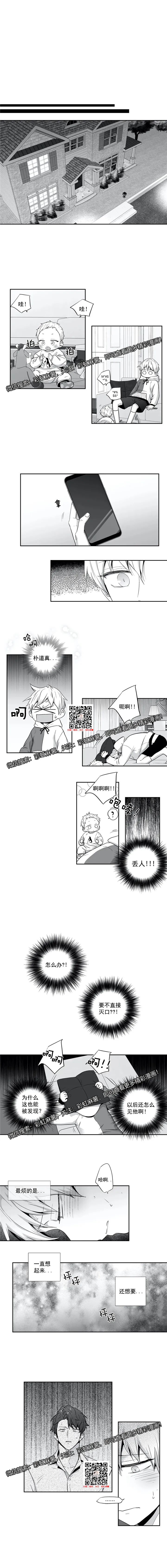 章节图片