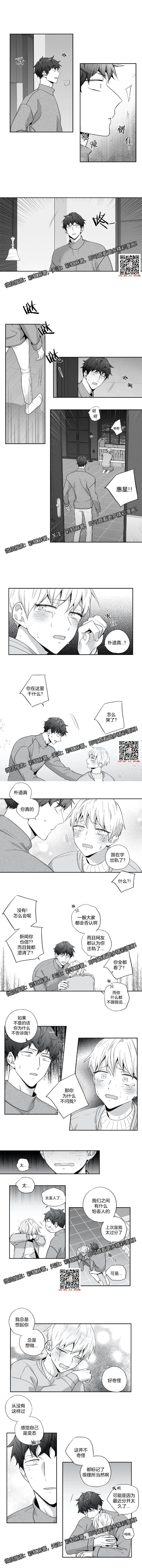 章节图片