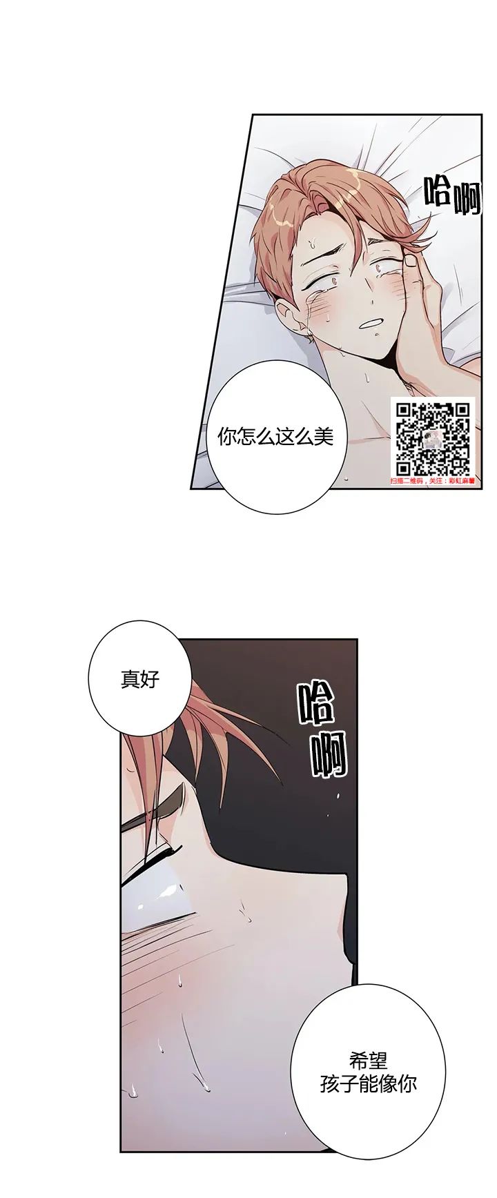 章节图片