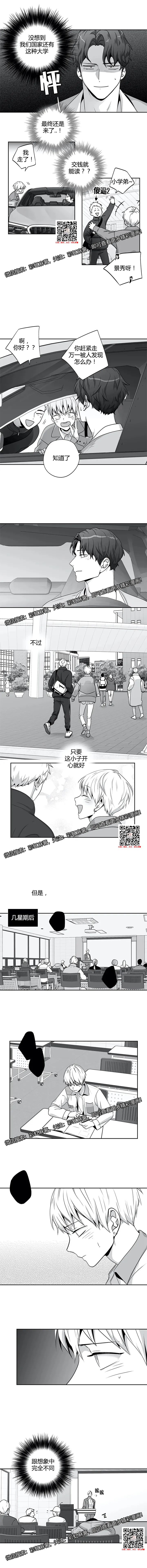 章节图片