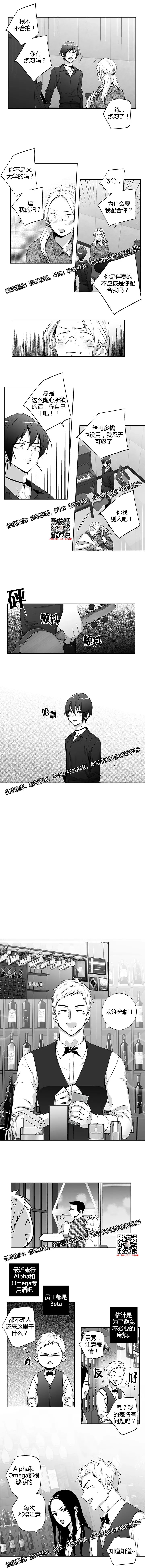 章节图片