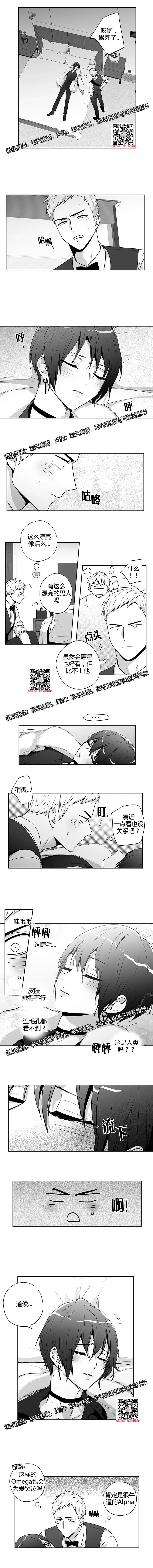 章节图片