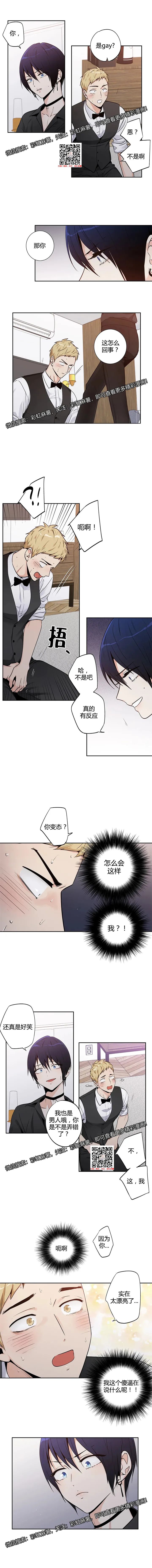 章节图片