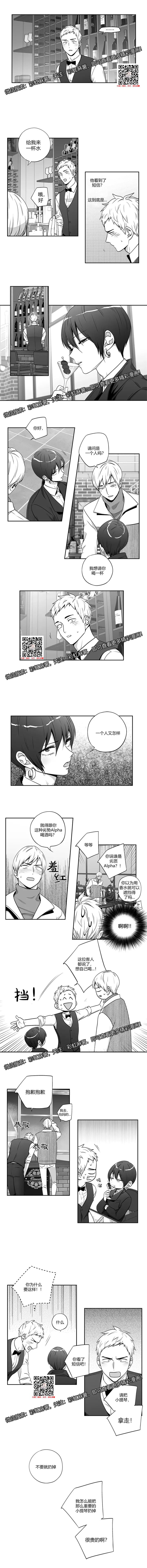 章节图片