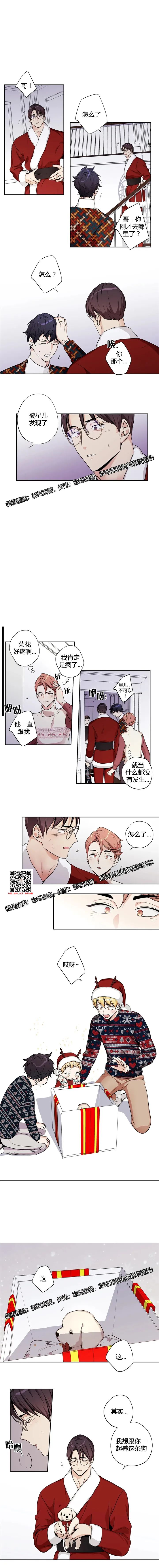 章节图片