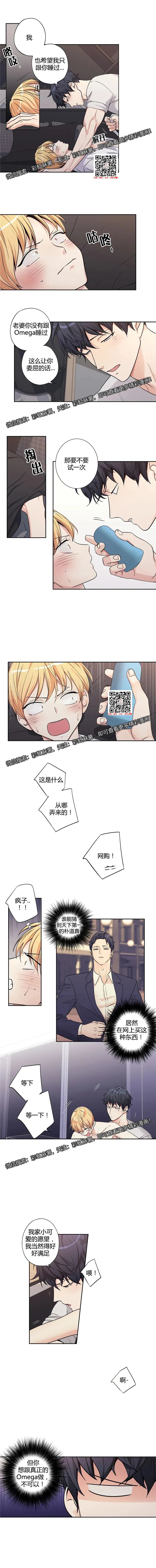 章节图片