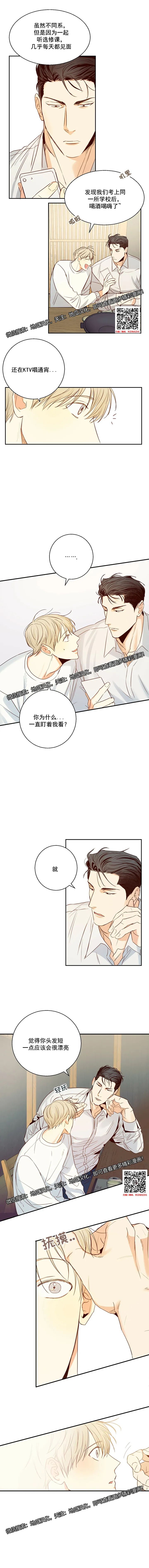 章节图片