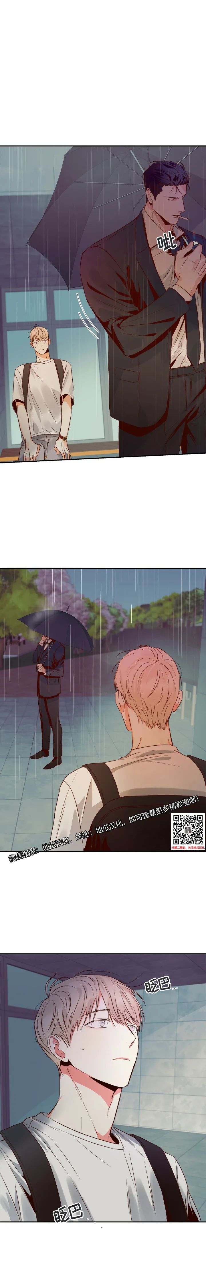 章节图片