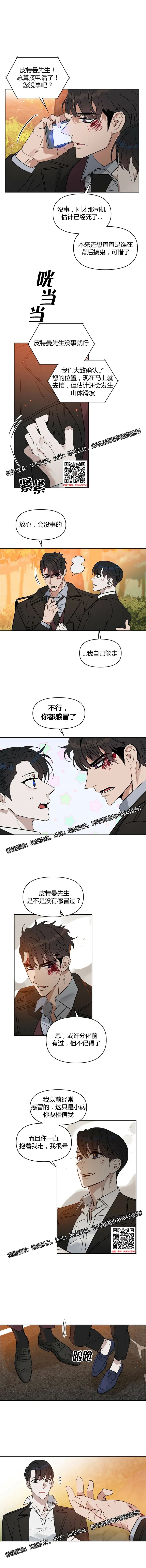 章节图片