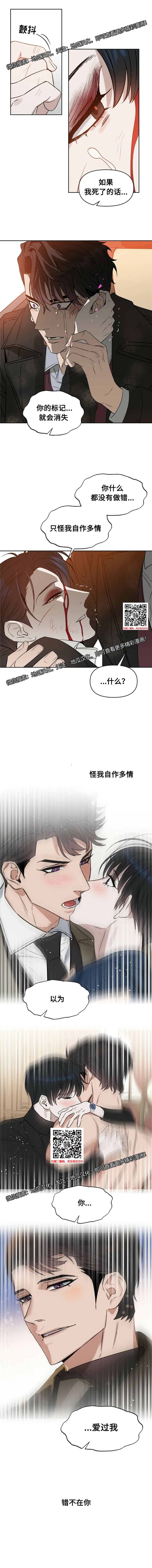 章节图片