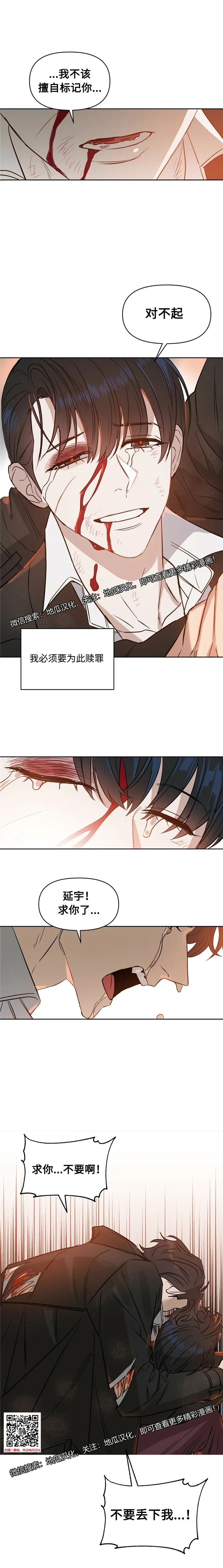章节图片