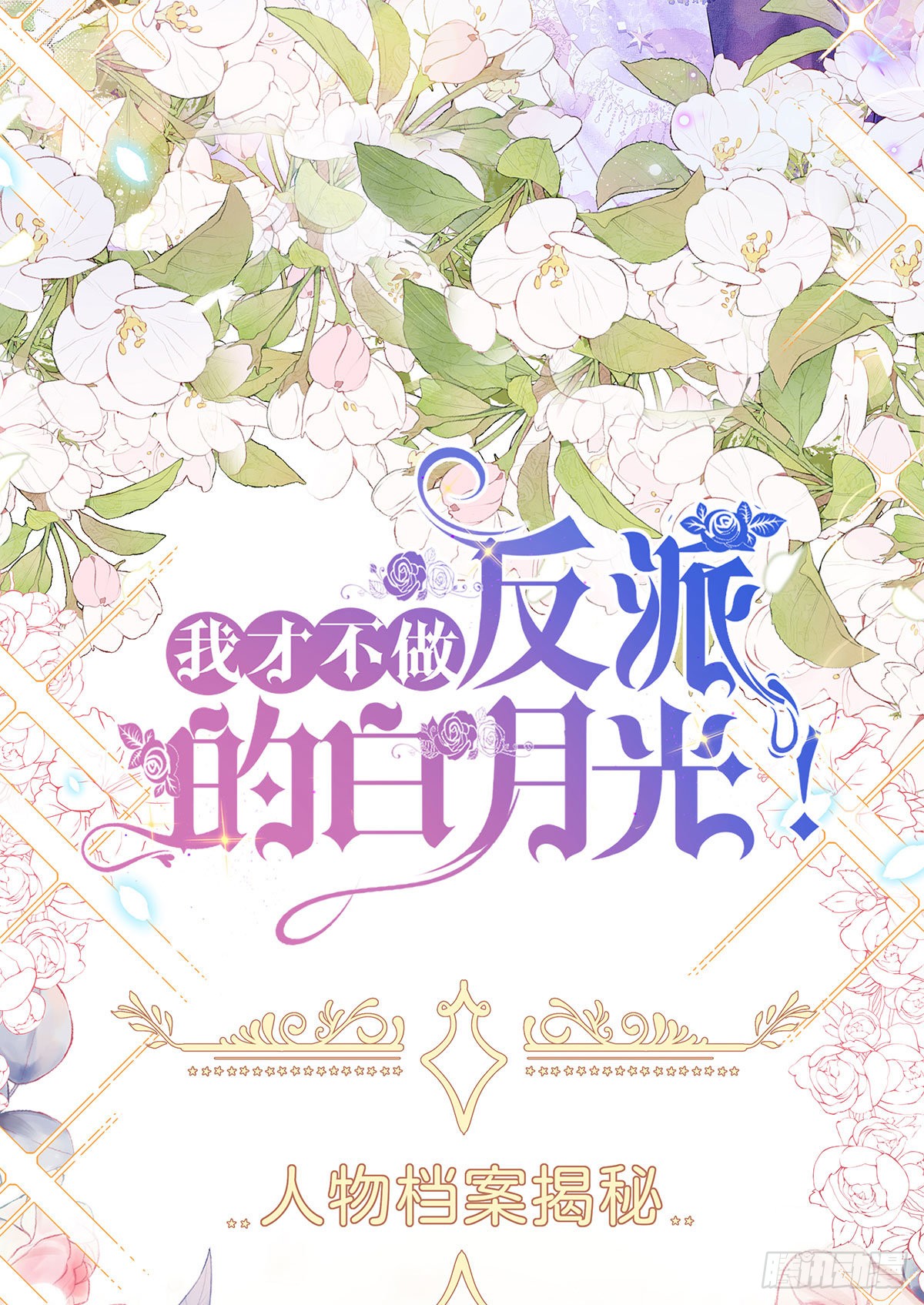 章节图片