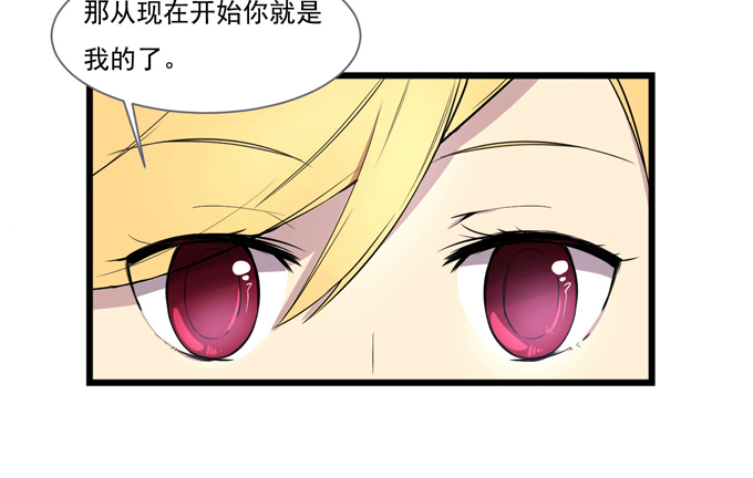 章节图片