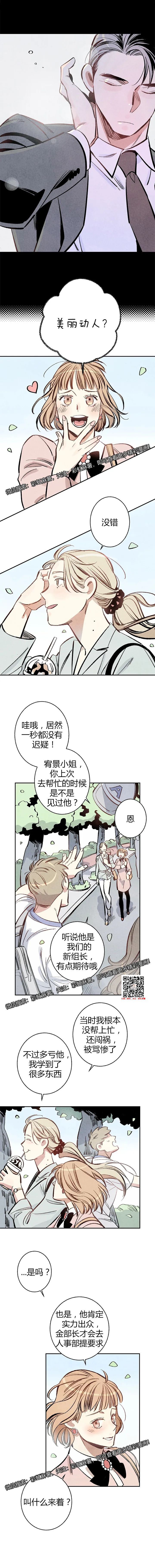 章节图片