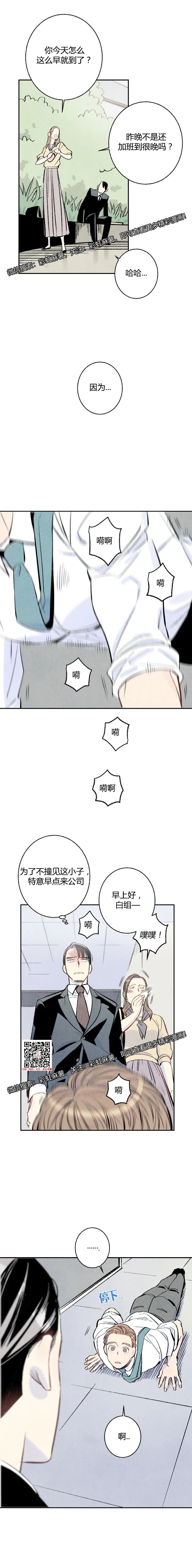 章节图片