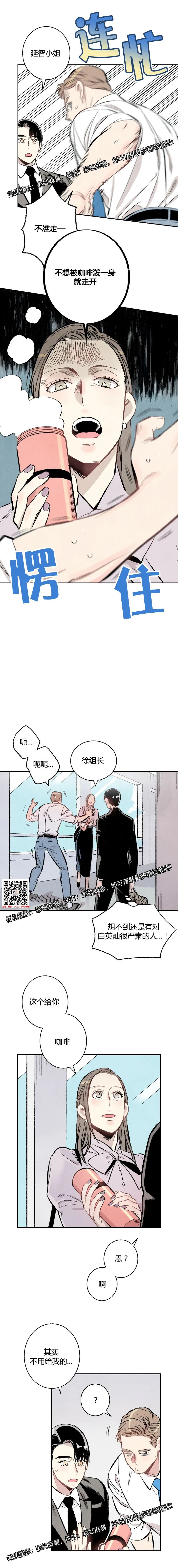 章节图片