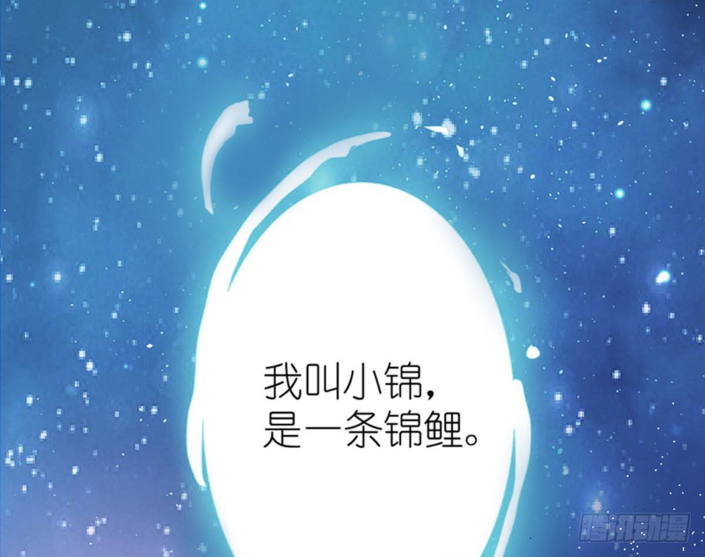 章节图片