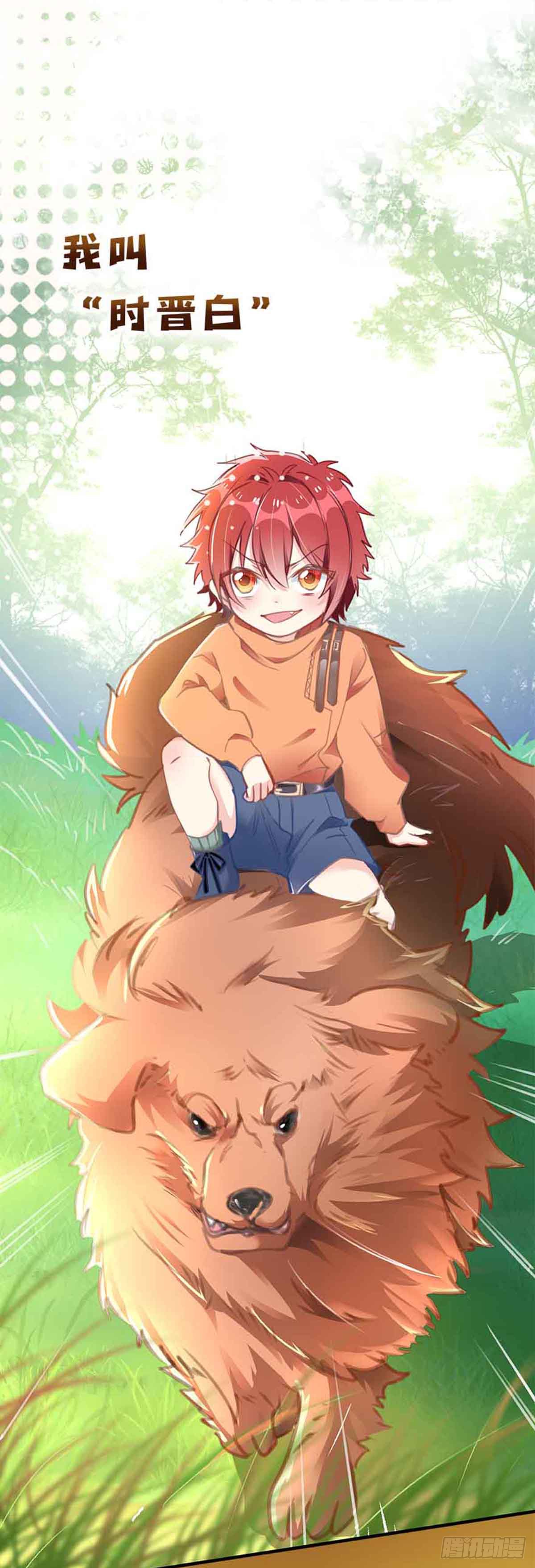 章节图片