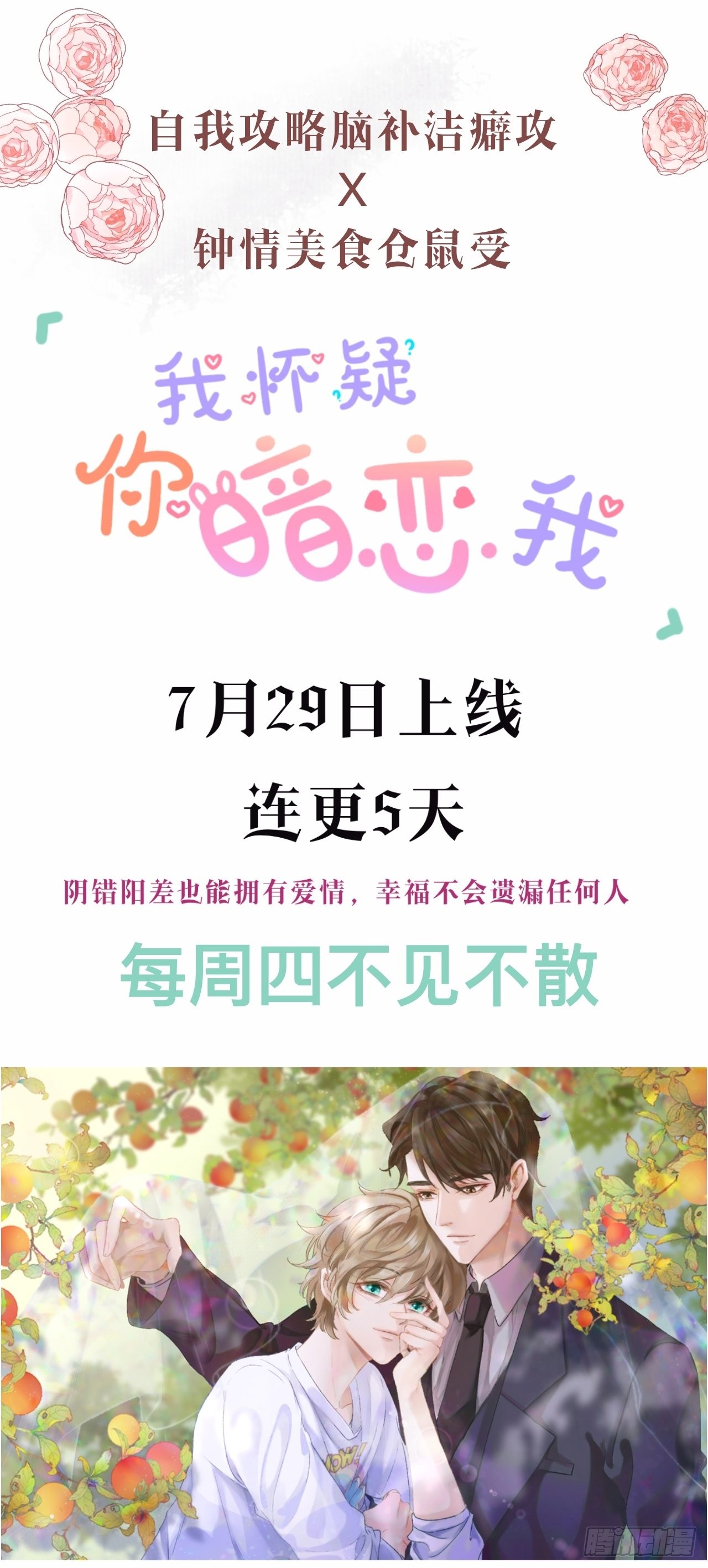 章节图片