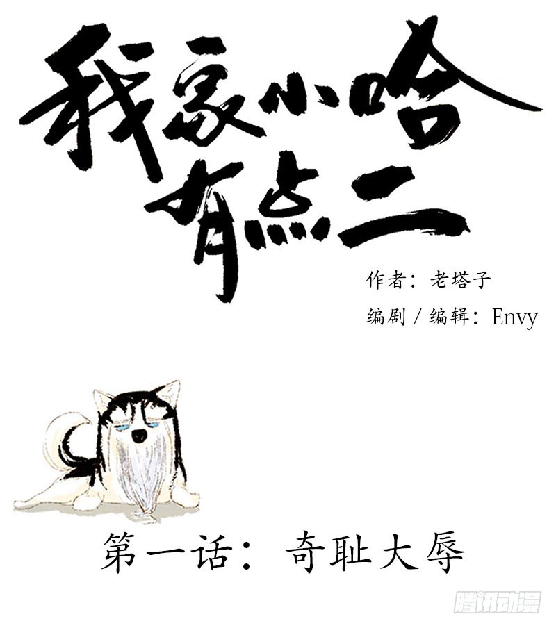章节图片