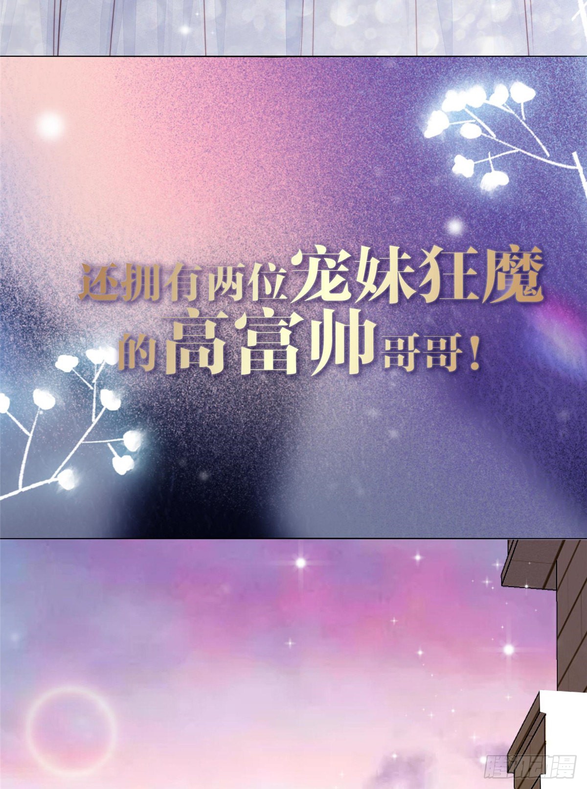 章节图片