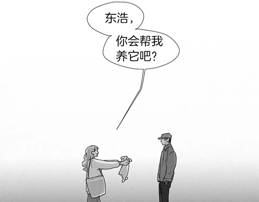 章节图片