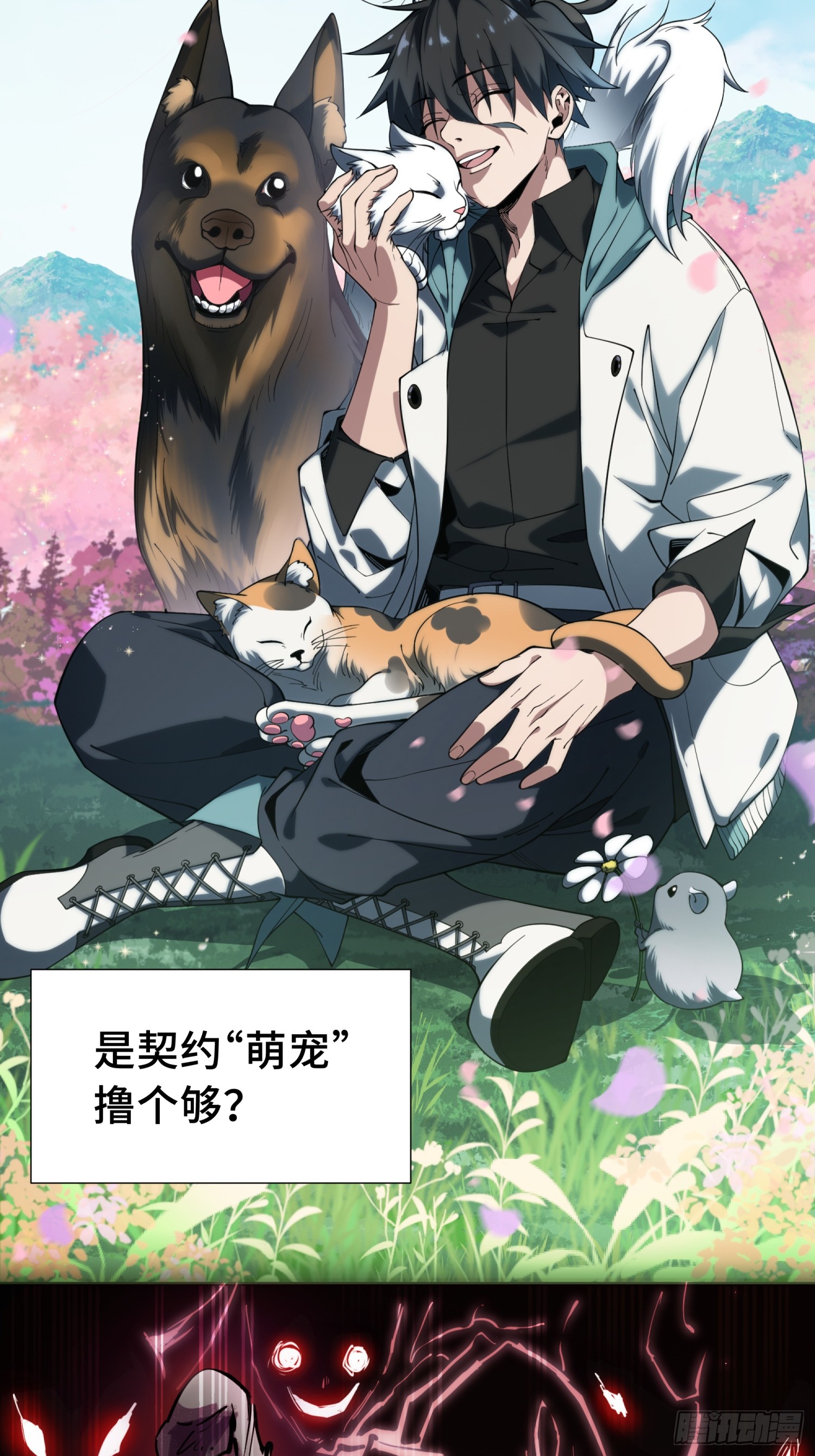 章节图片