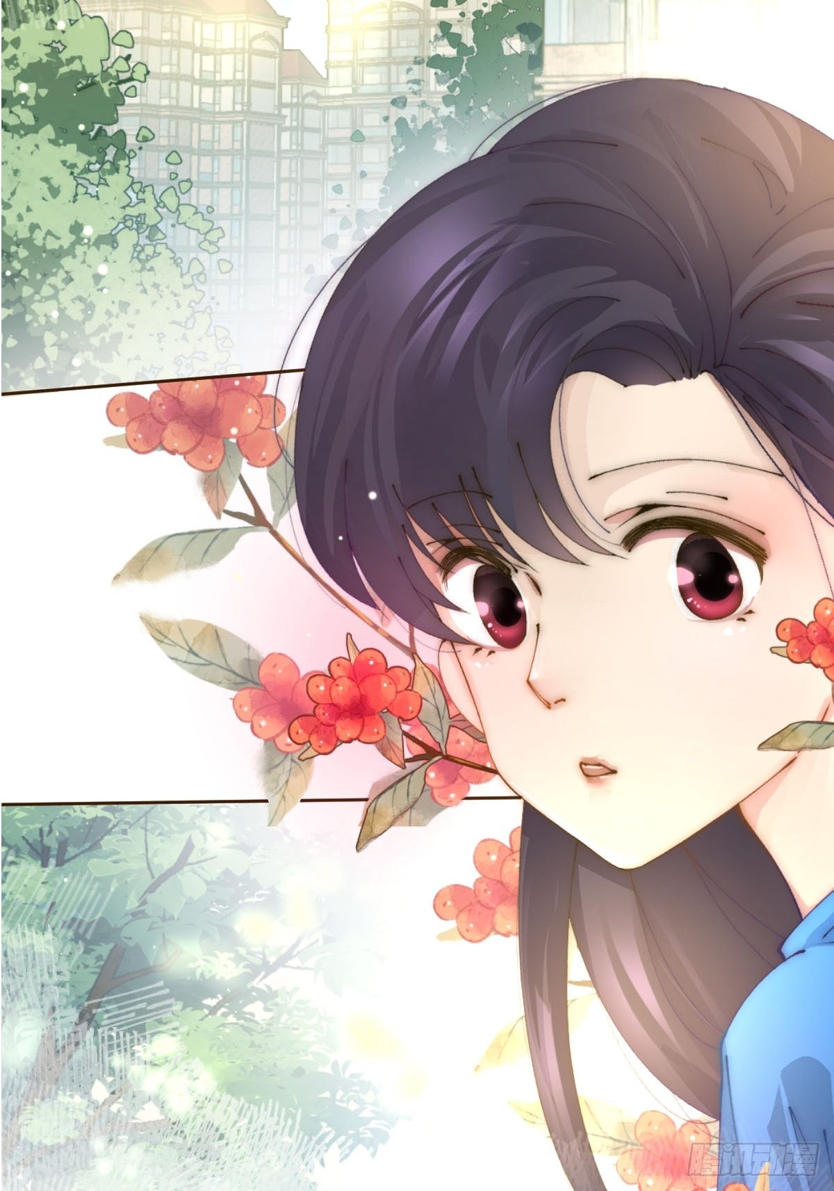 章节图片