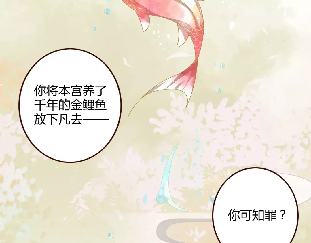 章节图片