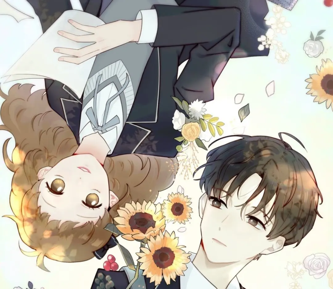 章节图片