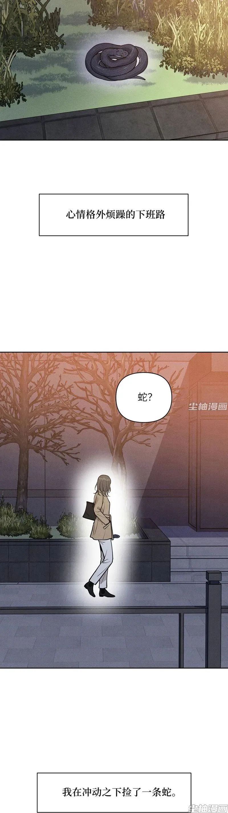 章节图片