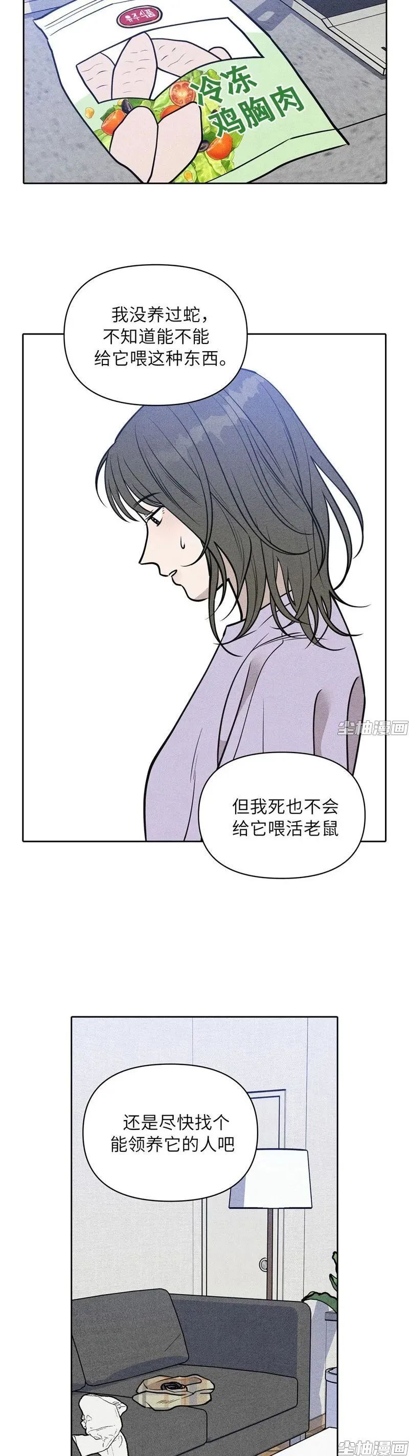 章节图片