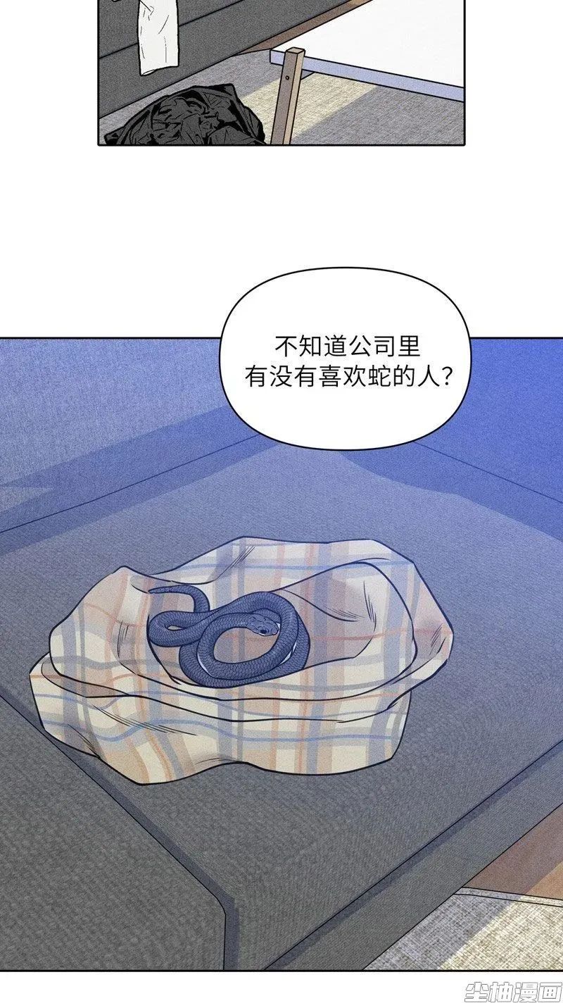 章节图片