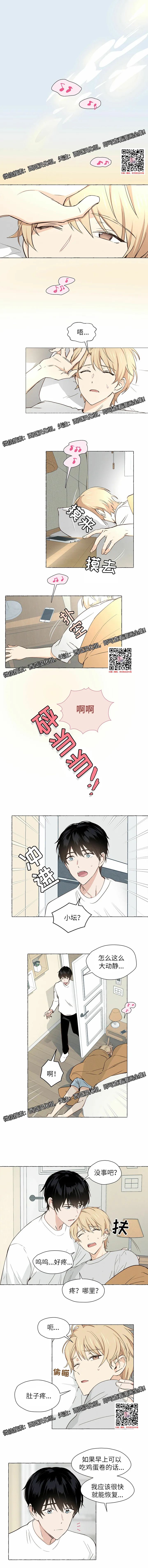 章节图片