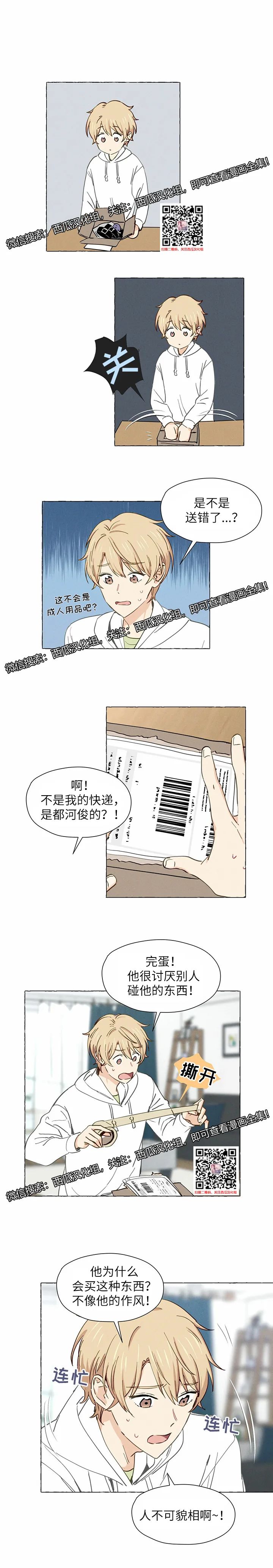 章节图片