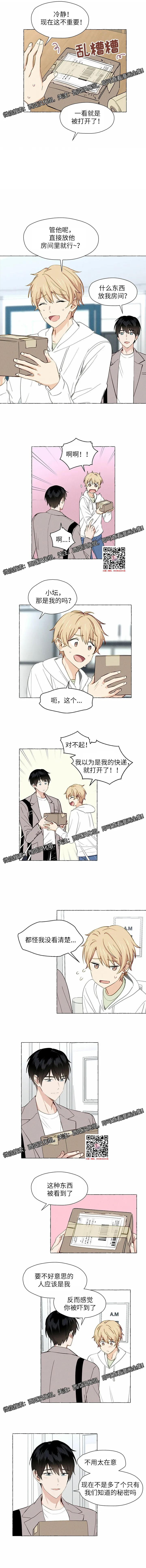 章节图片