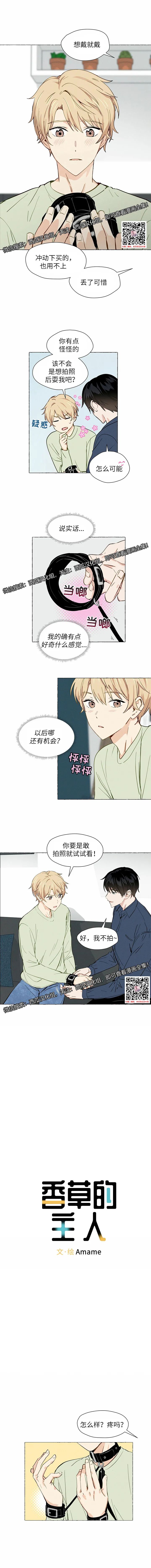 章节图片