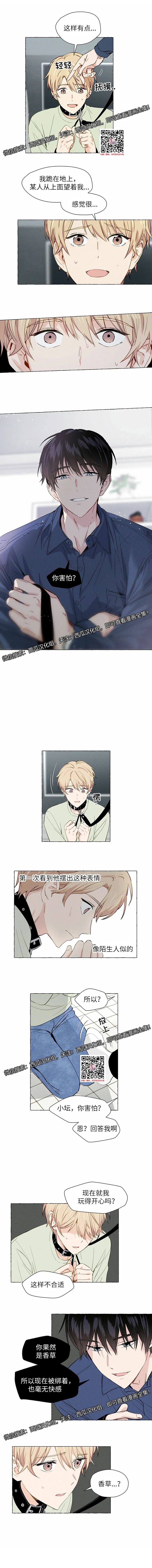 章节图片