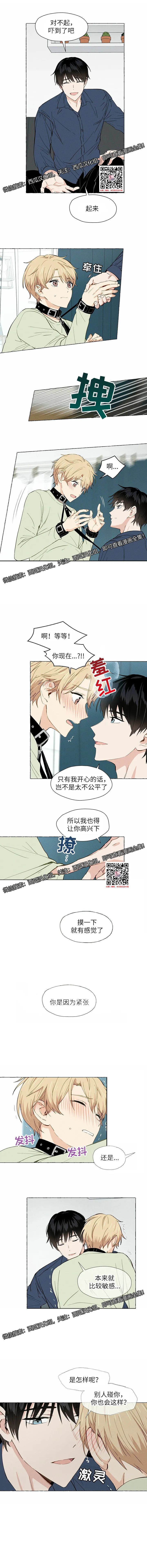 章节图片