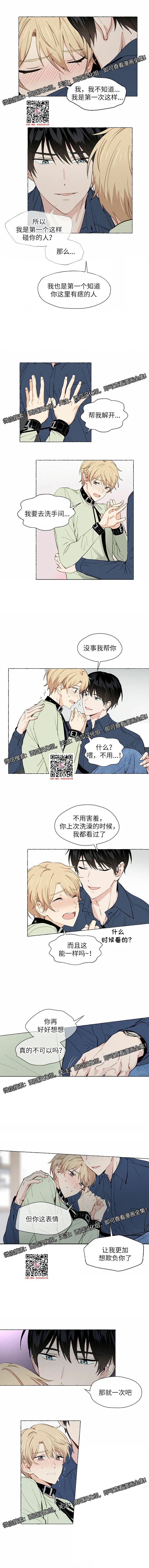 章节图片