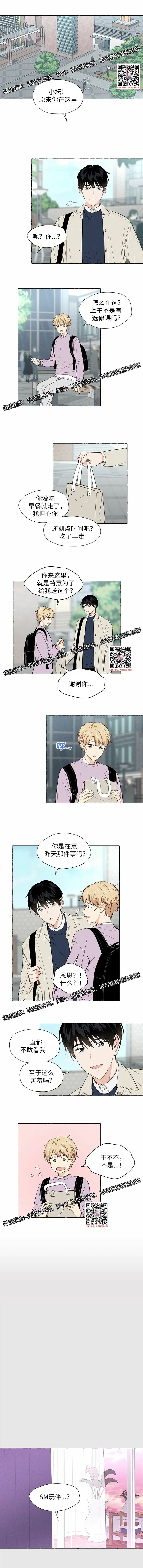 章节图片