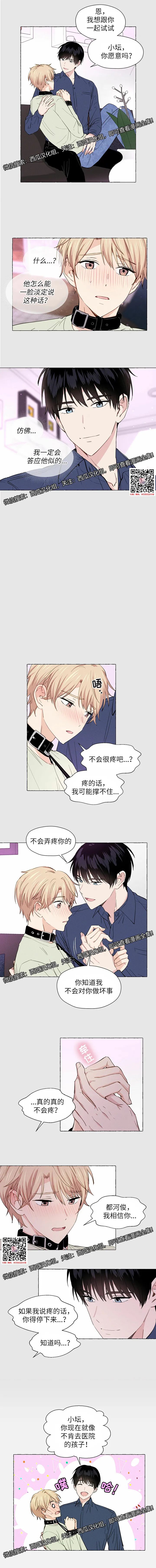 章节图片