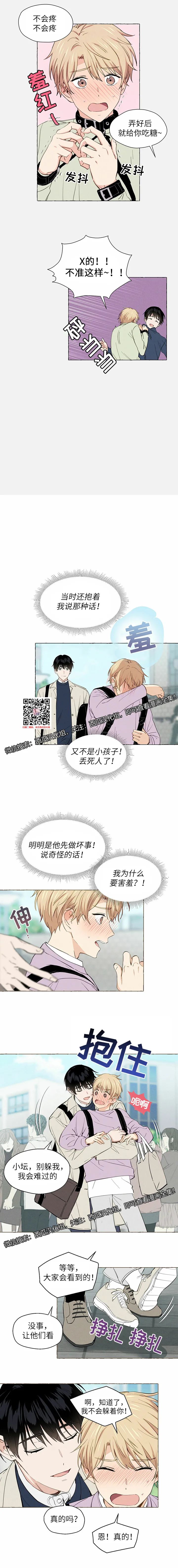 章节图片
