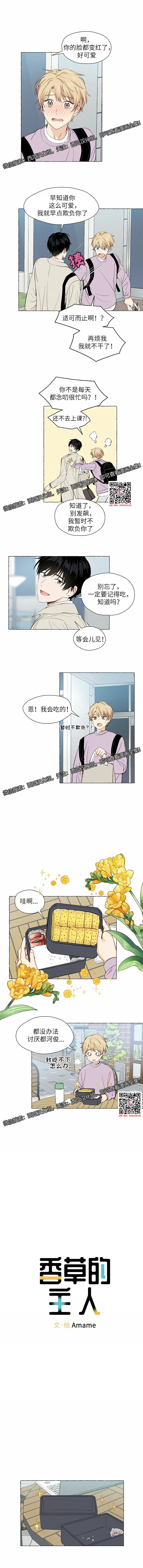 章节图片