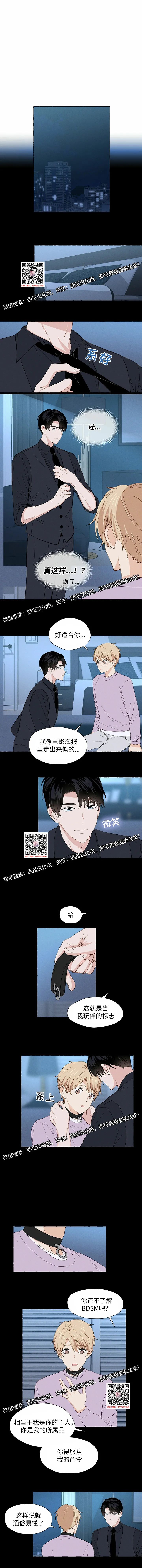 章节图片