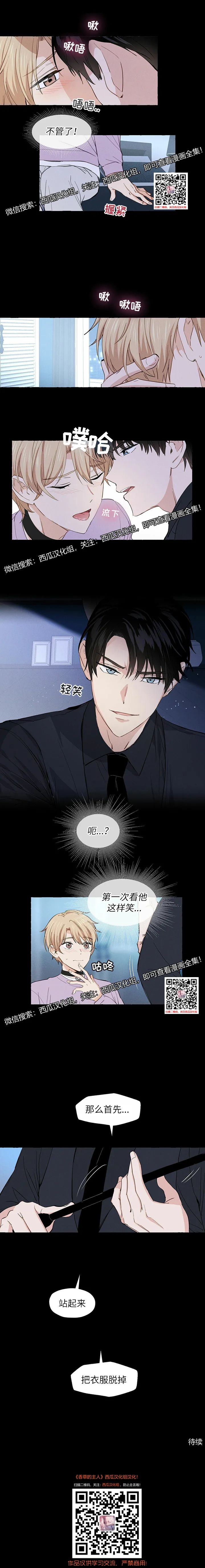 章节图片