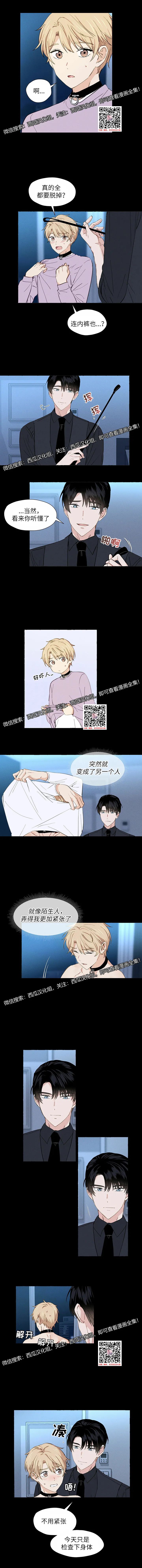 章节图片