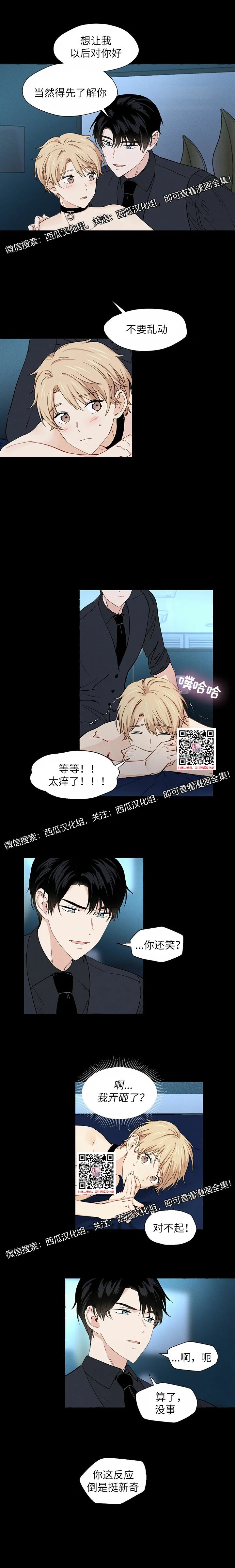 章节图片