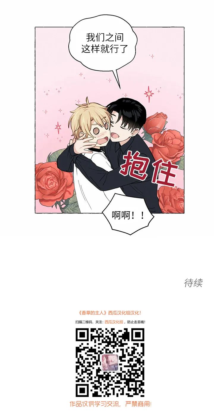 章节图片