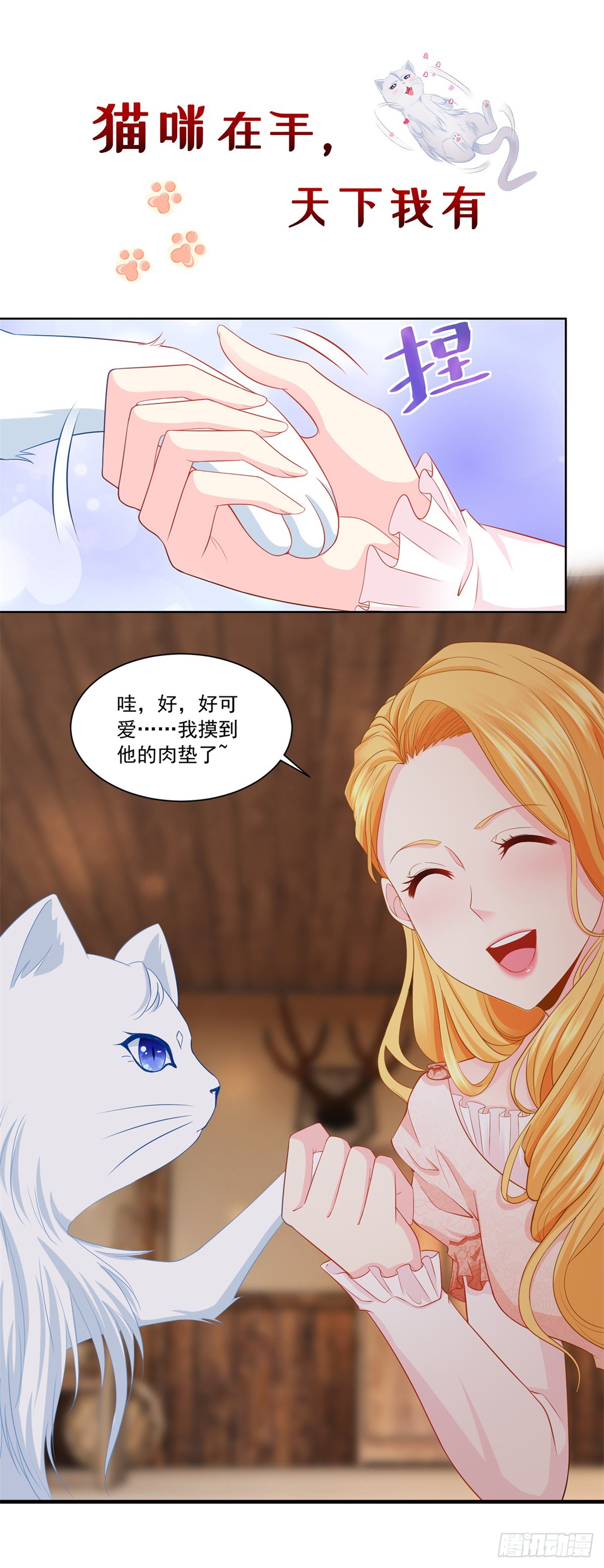 章节图片